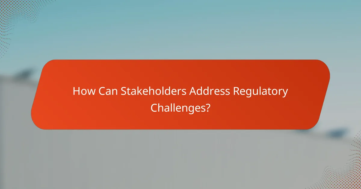 How Can Stakeholders Address Regulatory Challenges?