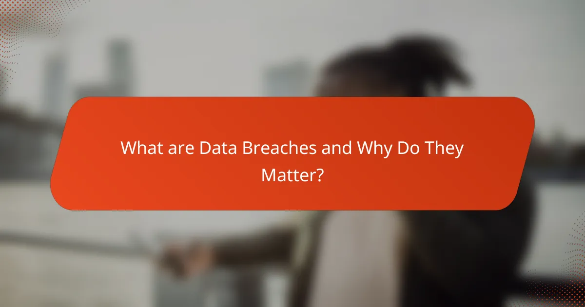 What are Data Breaches and Why Do They Matter?