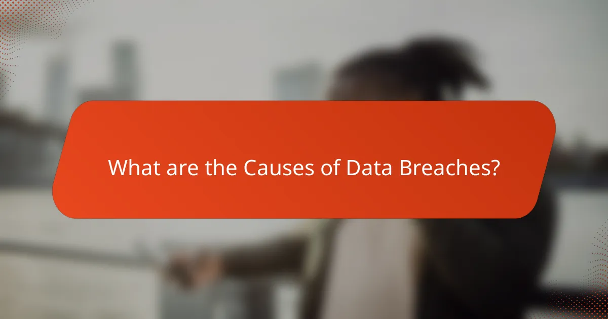 What are the Causes of Data Breaches?