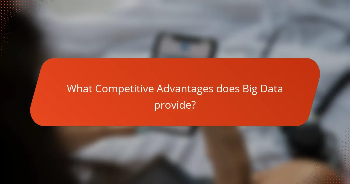 What Competitive Advantages does Big Data provide?