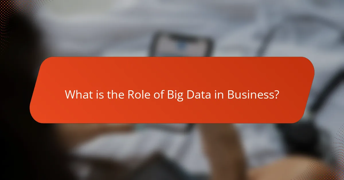 What is the Role of Big Data in Business?